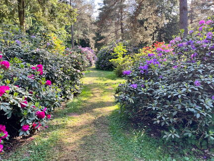 23-06-03 16-45-52 5797